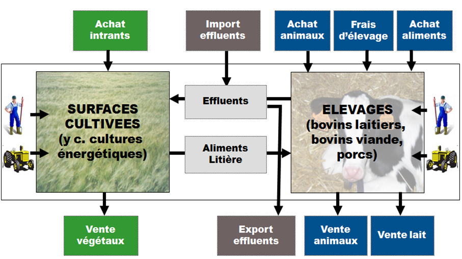 pp3schema